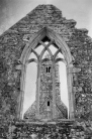 Ross Errilly Friary-3357