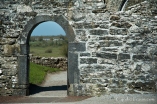 Ross Errilly Friary-3514
